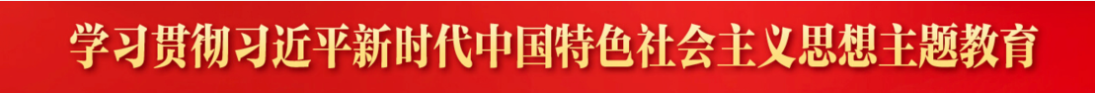 学习贯彻习近平新时代中国特色社会主义思想主题教育